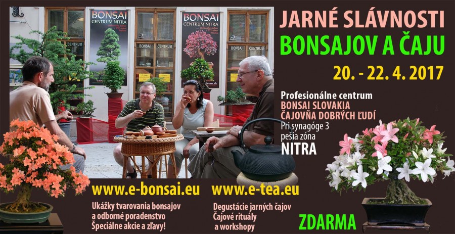 JARNÉ SLÁVNOSTI BONSAJOV A ČAJU