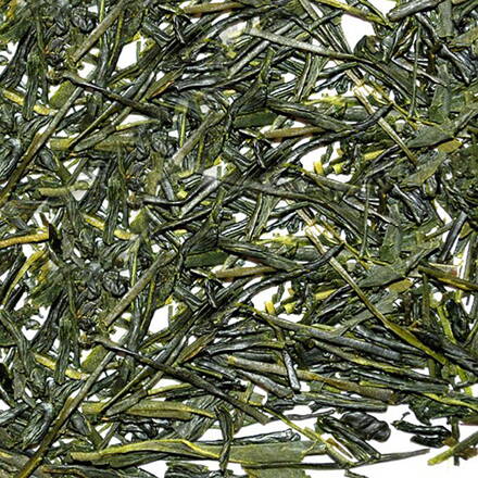 SENCHA HARUNO SUGI EXTRA ORGANIC