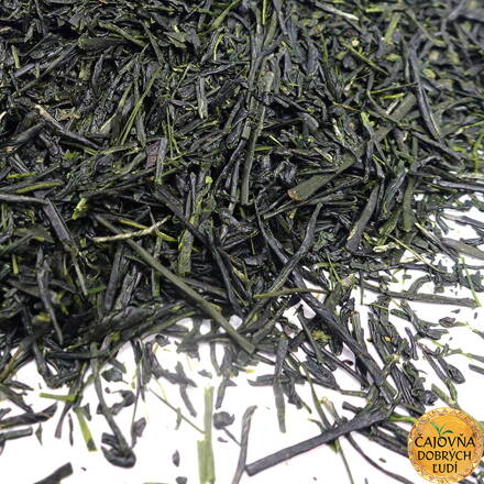 SENCHA ASANOKA