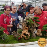 ŠPANIELSKO: MISTRAL BONSAI